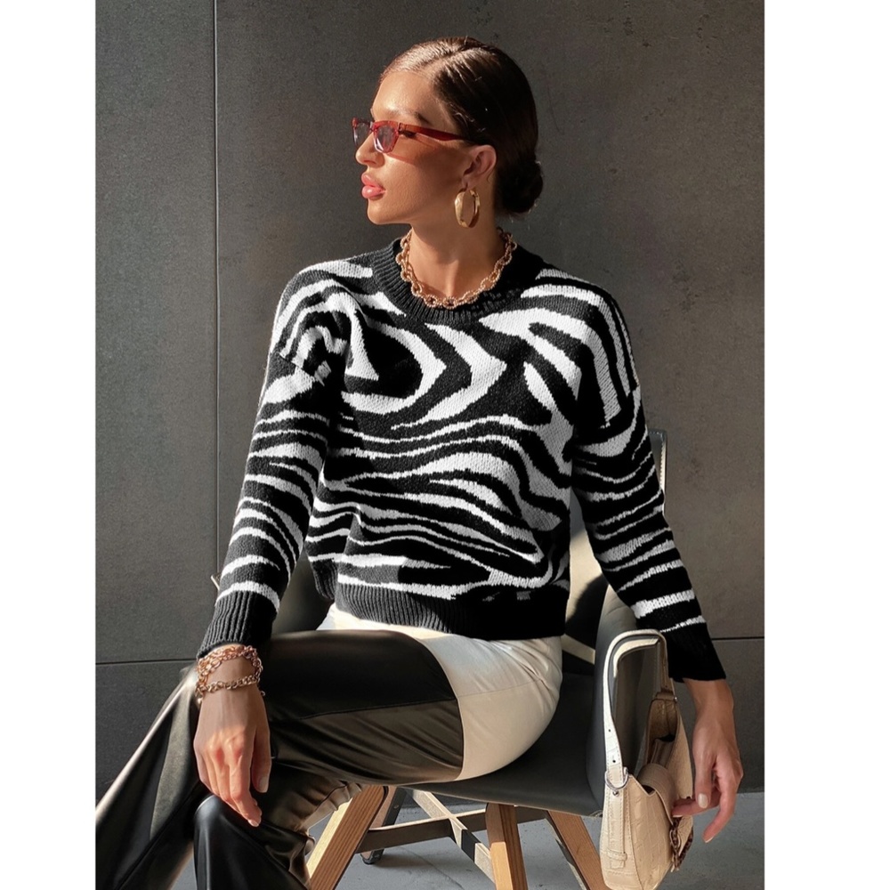 Black & White Zebra Stripe Pullover Sweater Round Neck Long Sleeve Drop Shoulder - Picture 6 of 8